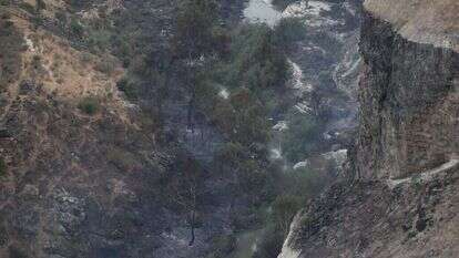 מאור קינסבורסקי/פלאש 90 מאור קינסבורסקי/פלאש 90