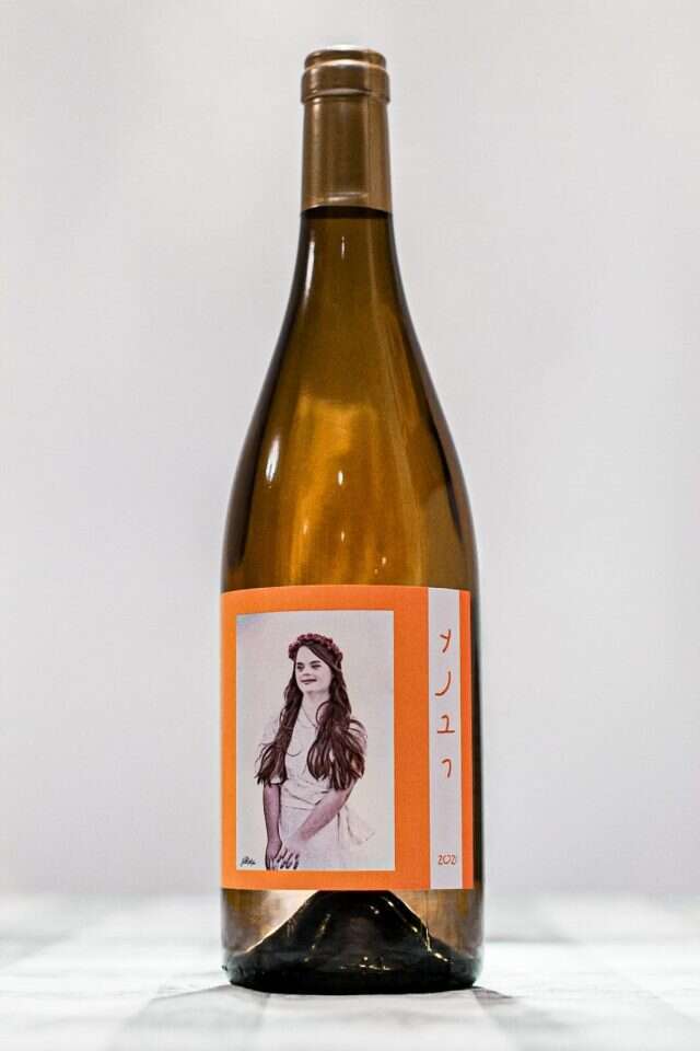 אלישע ליפשיץ