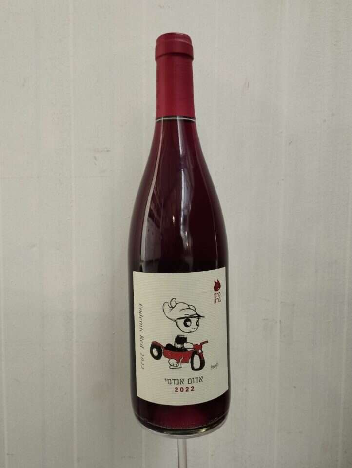 יוסי רוזנברג