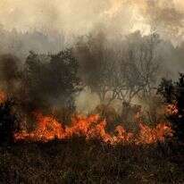 שריפות ביוון, השבוע. | EPA