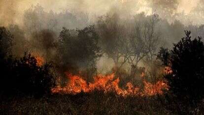שריפות ביוון, השבוע. | EPA