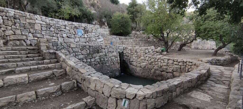 הליפתא. | Check in/out הליפתא. | Check in/out