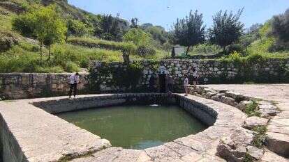 הליפתא. | Check in/out הליפתא. | Check in/out