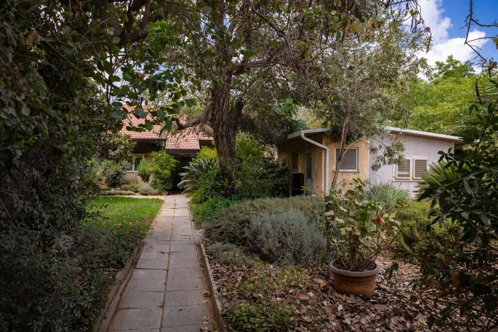 ברוך גרינברג ברוך גרינברג