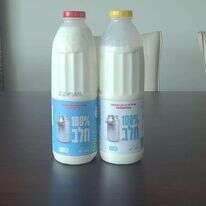 נגד הזרם. בקבוקי החלב של רשת רמי לוי. | אוליבייה פיטוסי, פלאש 90