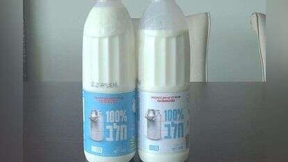 נגד הזרם. בקבוקי החלב של רשת רמי לוי. | אוליבייה פיטוסי, פלאש 90