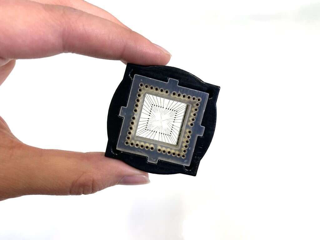 השבב עם דגם הלב האנושי. | Tissue Dynamics