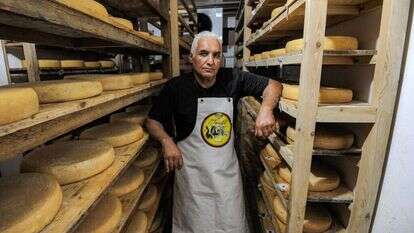 גבן במחסן גבינות קשות, ארכיון. | AFP גבן במחסן גבינות קשות, ארכיון. | AFP