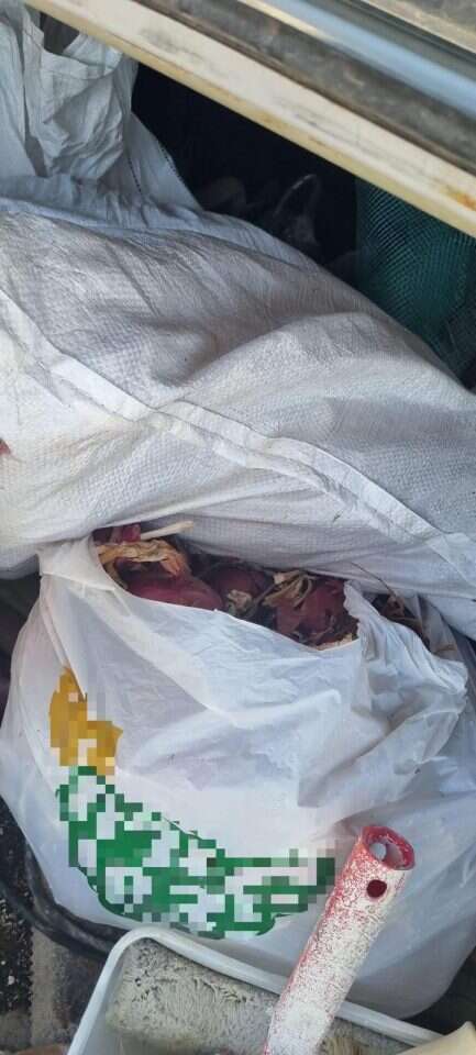 הבצל שנתפס. | דוברות המשטרה