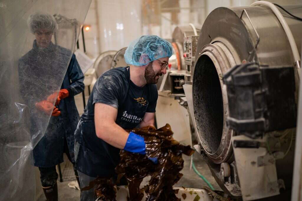 סלוואן ג'ורג'ס, הוושינגטון פוסט