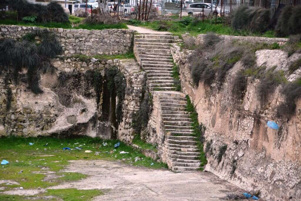 בריכות שלמה. | מאיר רוטר