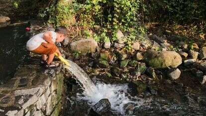 מבלים בחופש הגדול במעיין ברמת הגולן. | מיכאל גלעדי - פלאש 90