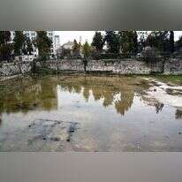 בריכות שלמה. | מאיר רוטר