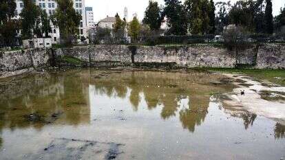 בריכות שלמה. | מאיר רוטר