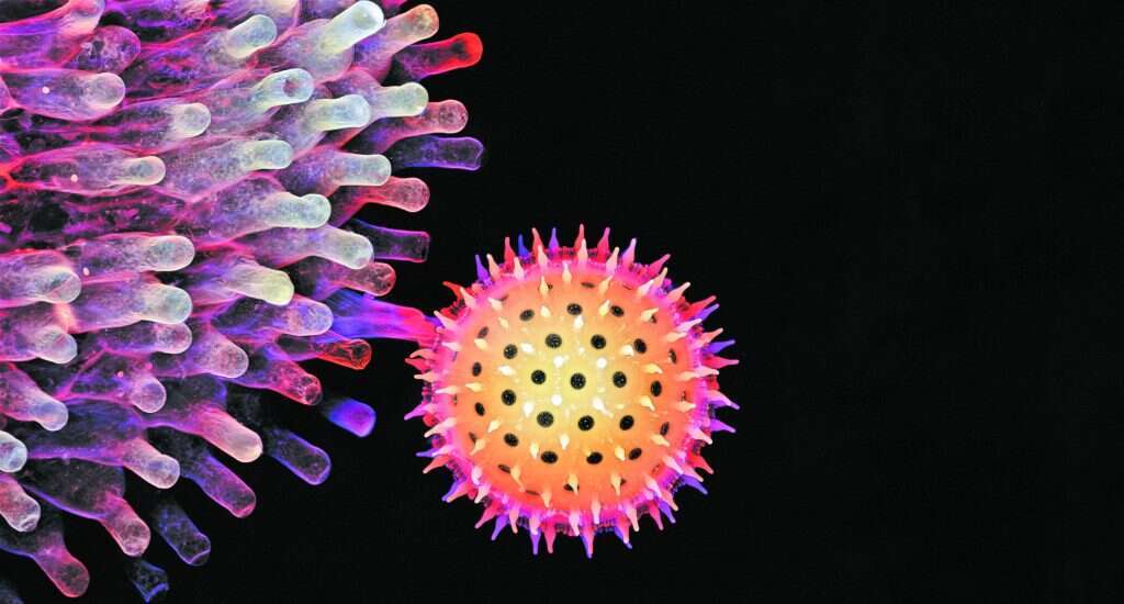 אחד הגורמים המרכזיים לנסיקה של דיסקורד. וירוס הקורונה | איגור סיוואנוביץ'