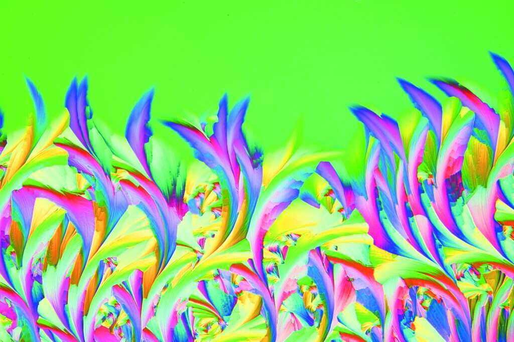 פופ־ארט בתצלום של שיאם רתוד. משחה רפואית לטיפול ביבלות