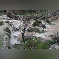 בריכות שלמה. | גרשון אלינסון, פלאש 90