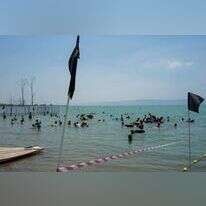 רוחצים בכנרת, הקיץ. | מיכאל גלעדי, פלאש 90