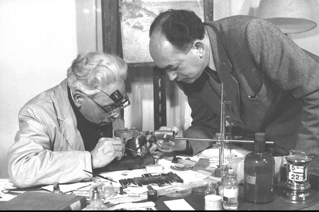 תגובה לשסע שאחרי רצח רבין. פרופ' נועם מזרחי. | יונתן זינדל, פלאש 90