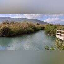 נחל הקיבוצים | check in-out