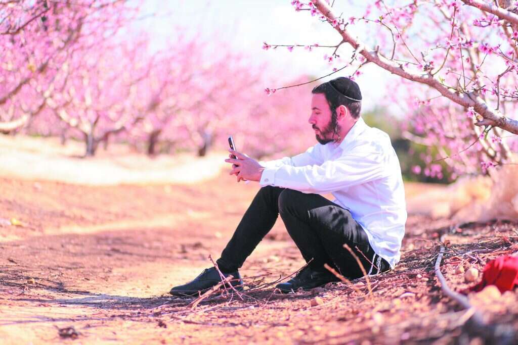 אברומי לינשה. | מלכי קליין
