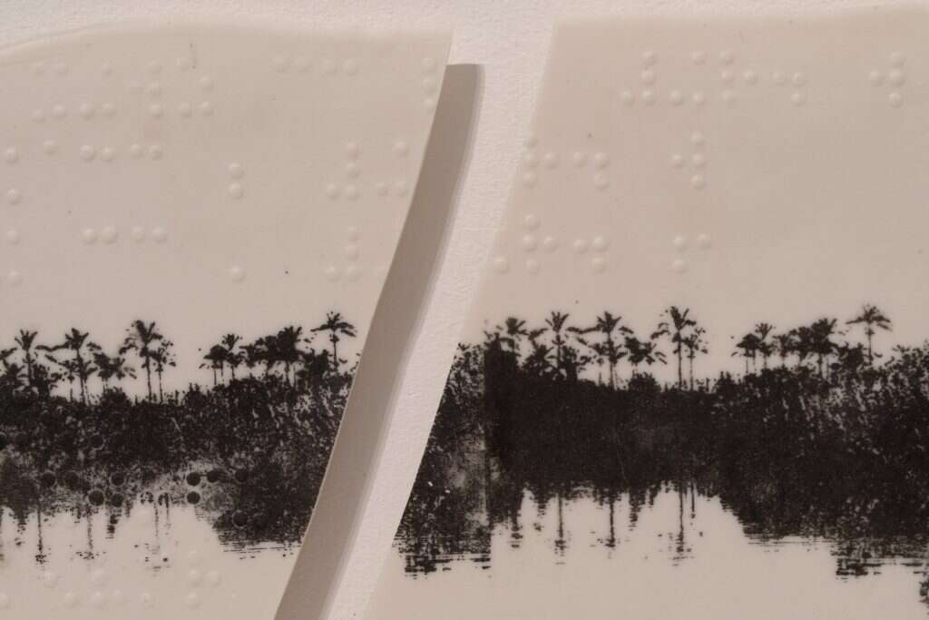 גאולה פלסר, "על העיוורון"