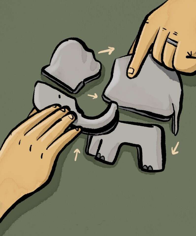 איור: נעמה להב