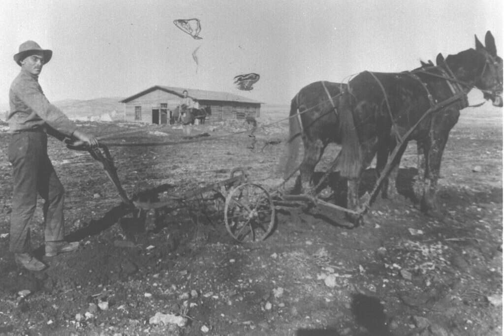 חלוץ חורש בשדות קריית־ענבים, 1920. | לע"מ