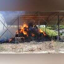 שרפת מתבן בכדורי. | אנצ'ו גוש, ג'יני