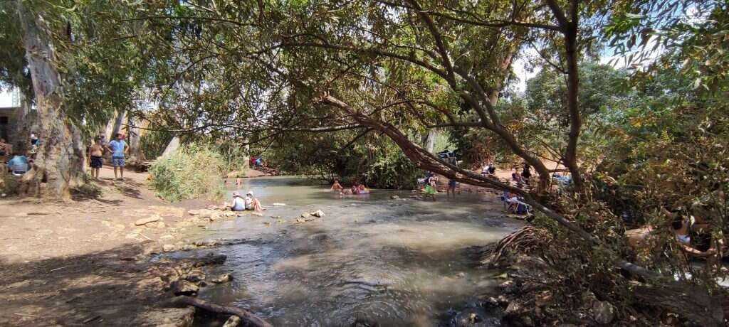 נחל הירקון. | Check in-out נחל הירקון. | Check in-out