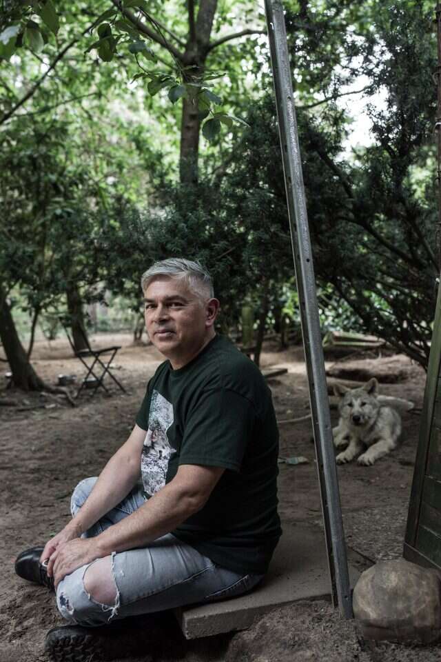 בהיעדר אזורי טבע גדולים, הוויכוח מגיע לנקודת רתיחה. כריסטיאן ברגה, המגדל 12 זאבים בחצר ביתו. | אימן הלאל, הוושינגטון פוסט