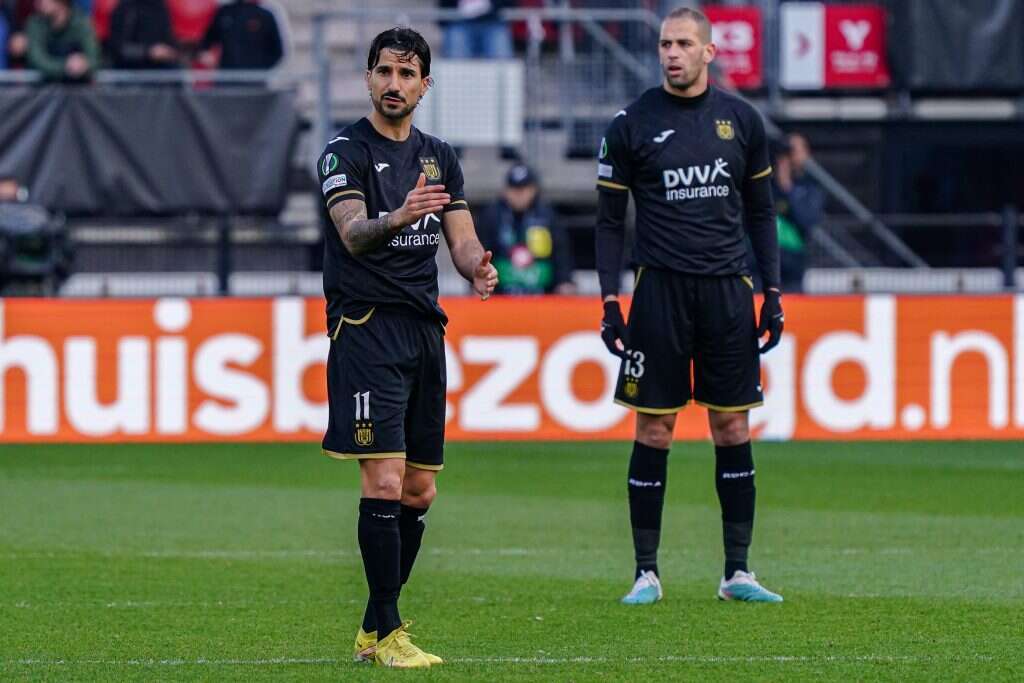 חזר מקריירה מפוארת בבלגיה. ליאור רפאלוב