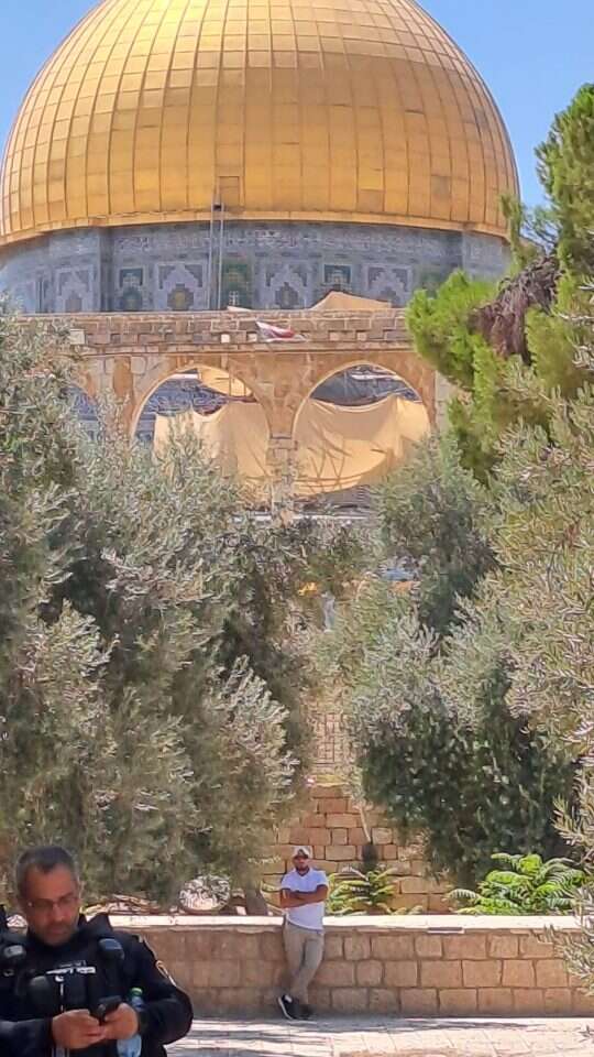 עבודות בלתי מאושרות. שיפוצים בכיפת השלשלת, אתמול