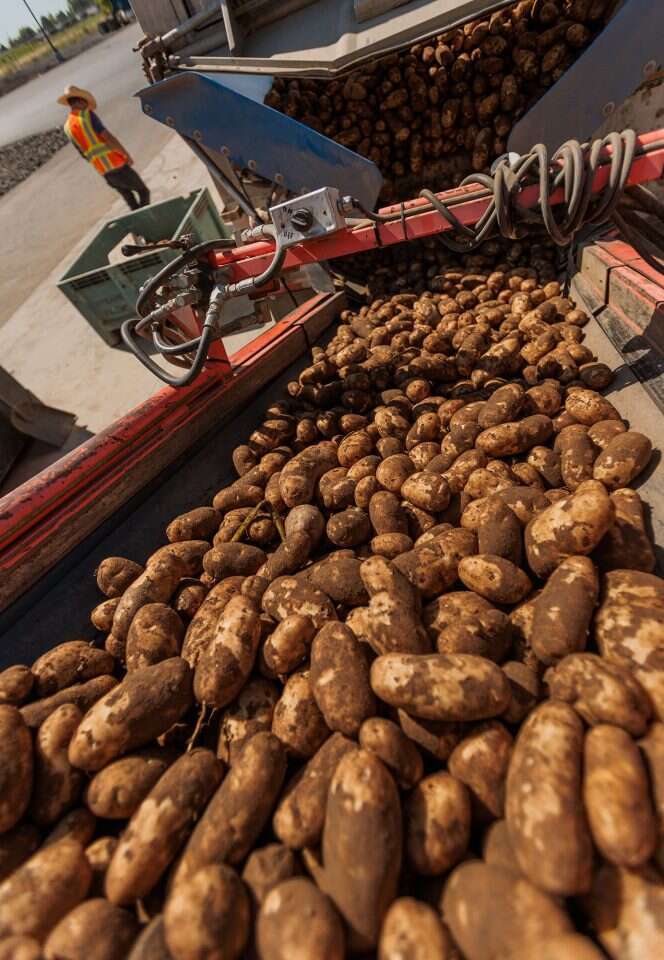 Rajah Bose, הוושינגטון פוסט