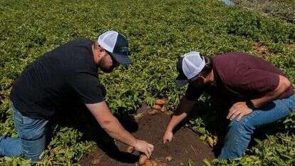 Rajah Bose, הוושינגטון פוסט