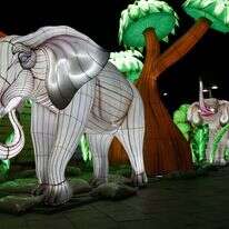 פסטיבל האורות בנמל תל אביב. | גיא יחיאלי פסטיבל האורות בנמל תל אביב. | גיא יחיאלי