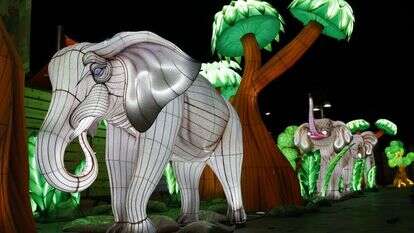 פסטיבל האורות בנמל תל אביב. | גיא יחיאלי פסטיבל האורות בנמל תל אביב. | גיא יחיאלי