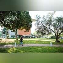 אוניברסיטת בר אילן. אילוסטרציה. | אריק סולטן