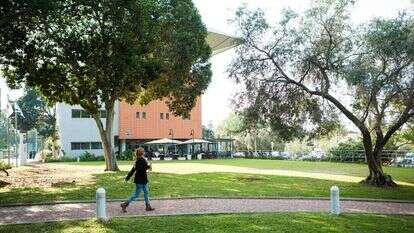 אוניברסיטת בר אילן. אילוסטרציה. | אריק סולטן