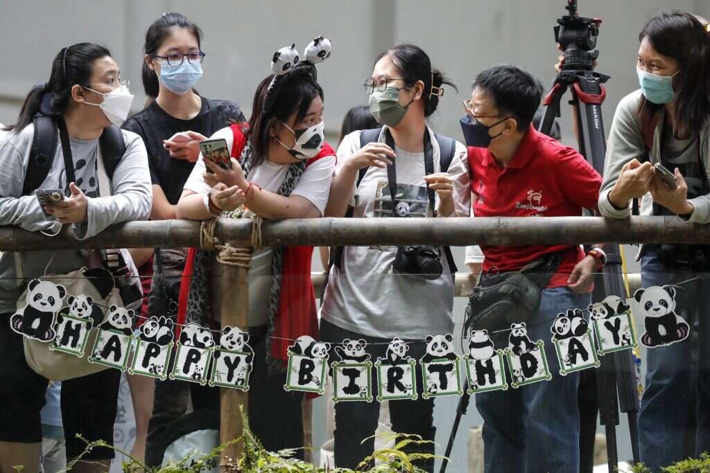 חובבי פנדות מלזים חוגגים יומולדת לדובה. | EPA/FAZRY ISMAIL