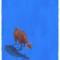 איור: מנחם הלברשטט