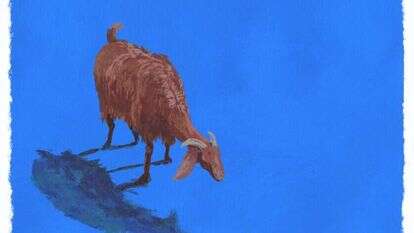 איור: מנחם הלברשטט