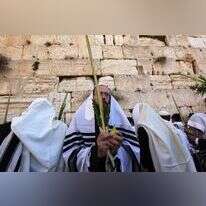 ארבע מינים. | קובי גדעון / פלאש 90