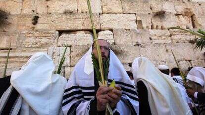 ארבע מינים. | קובי גדעון / פלאש 90 ארבע מינים. | קובי גדעון / פלאש 90