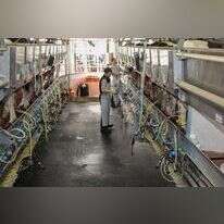 רפת בקיבוץ שריד. | ענת חרמוני, פלאש 90