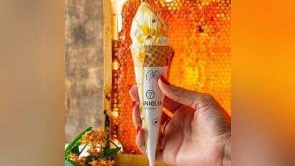 טעם חדש לחג של רשת וניליה. | בועז לביא