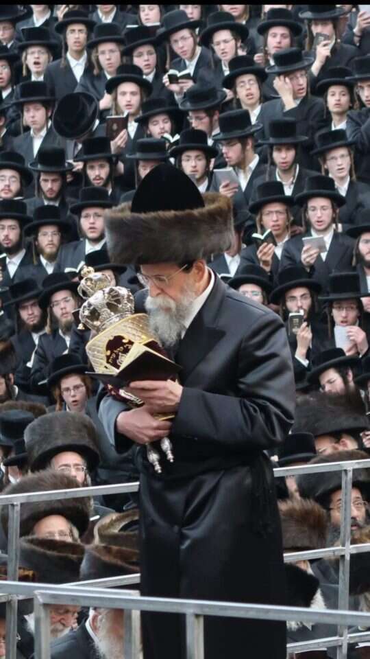 שטריימל רוז'ינאי. | מוטה ברים