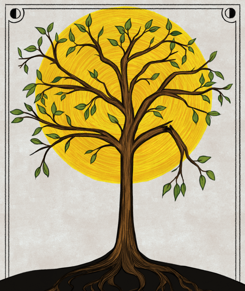 איור: שרון ארדיטי