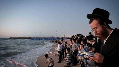 תשליך. | יוסי זליגר/פלאש90