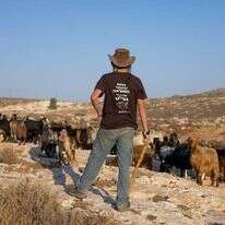 רועה צאן ביהודה ושומרון. למצולם אין קשר לכתבה. | חיים גולדברג, פלאש 90